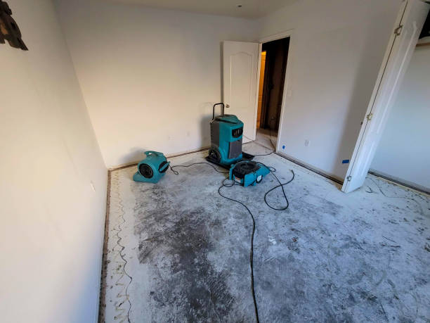 Best 24-hour water damage restoration  in Ste Genevieve, MO