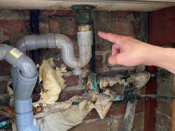 Carpet water damage restoration in Ste Genevieve, MO